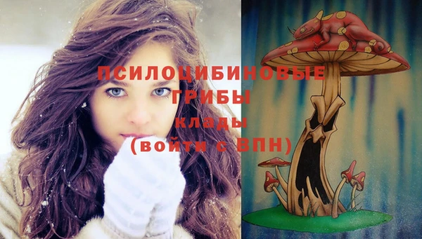 мескалин Зерноград