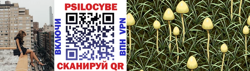 Галлюциногенные грибы мицелий  Купить закладки  Краснокамск 
